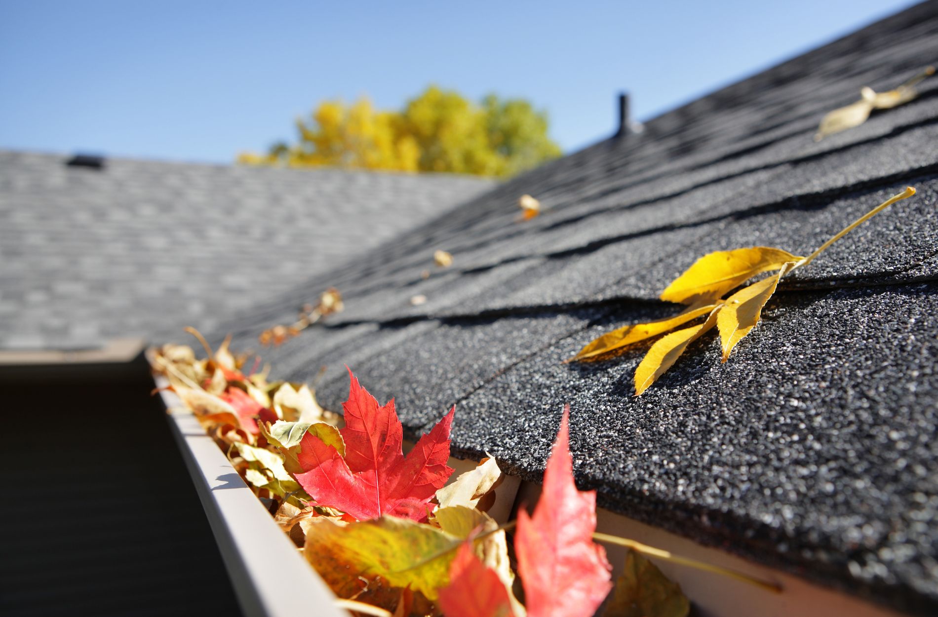 roof maintenance roof maintenance