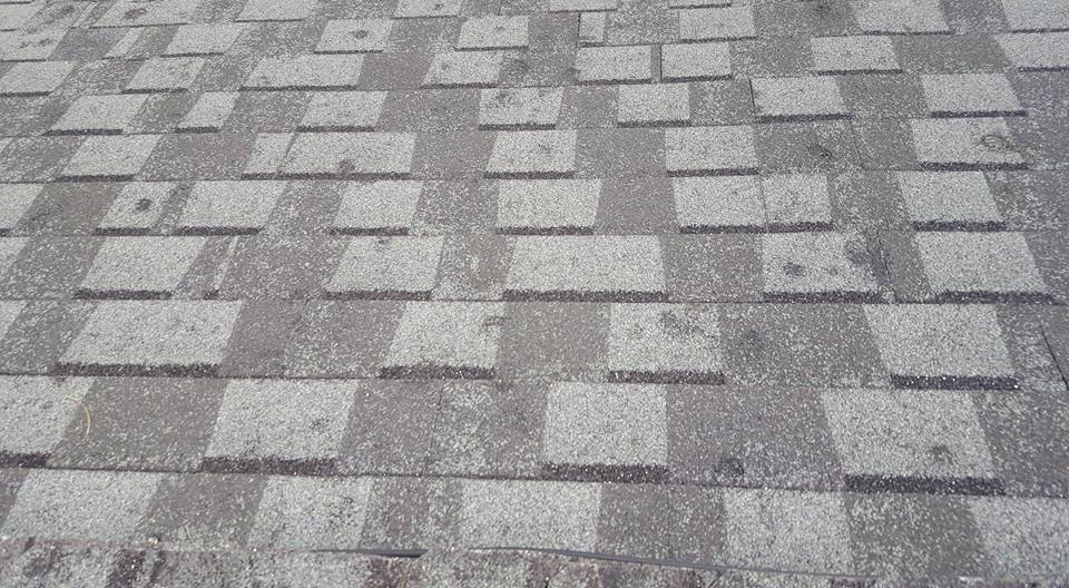 Roof