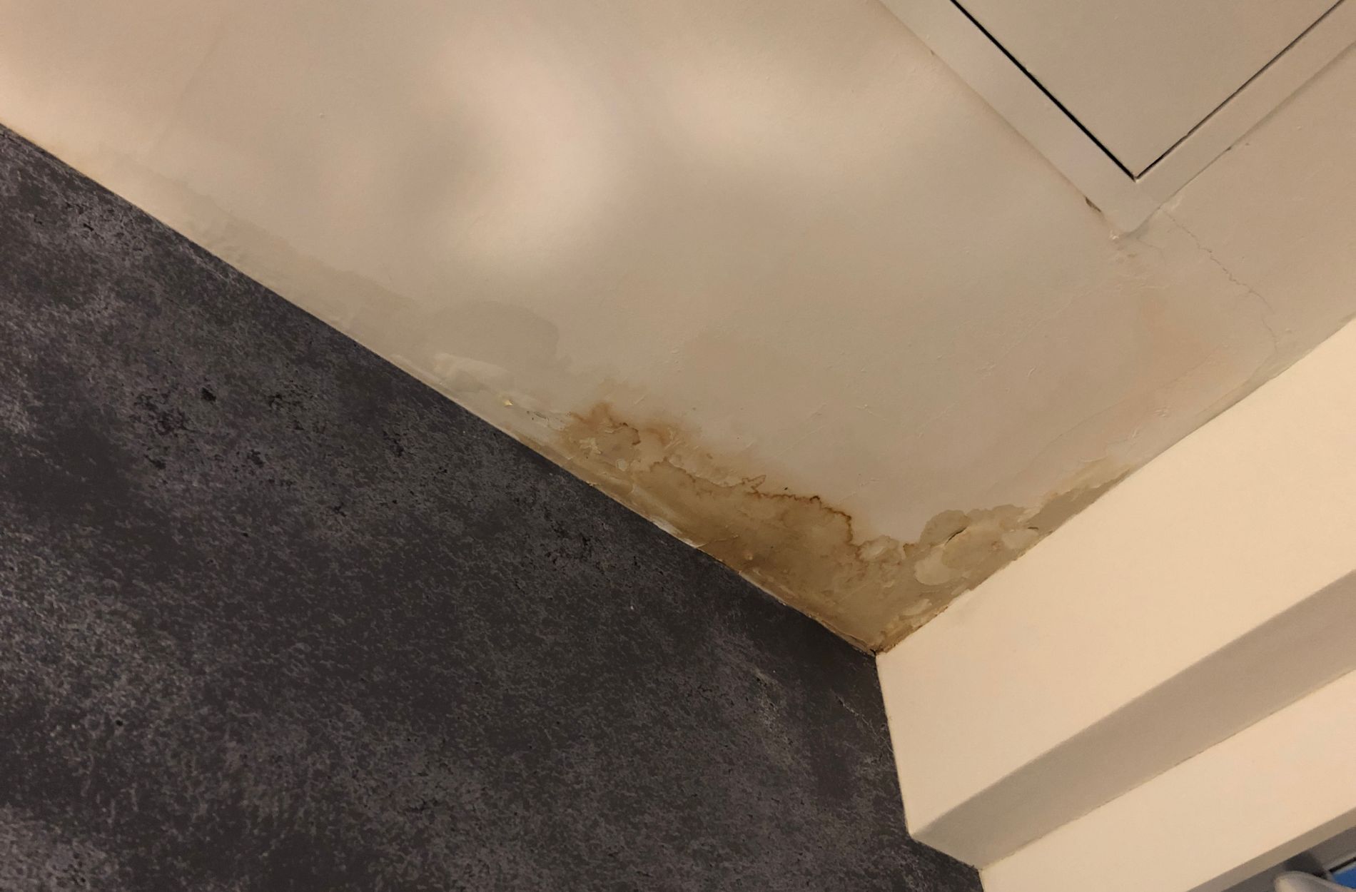 leaking roof | Raintite Roofing & Construction leaking roof