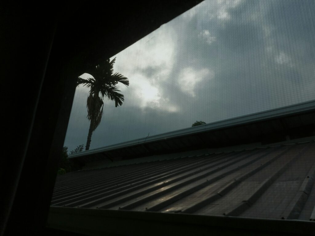 Metal Roof