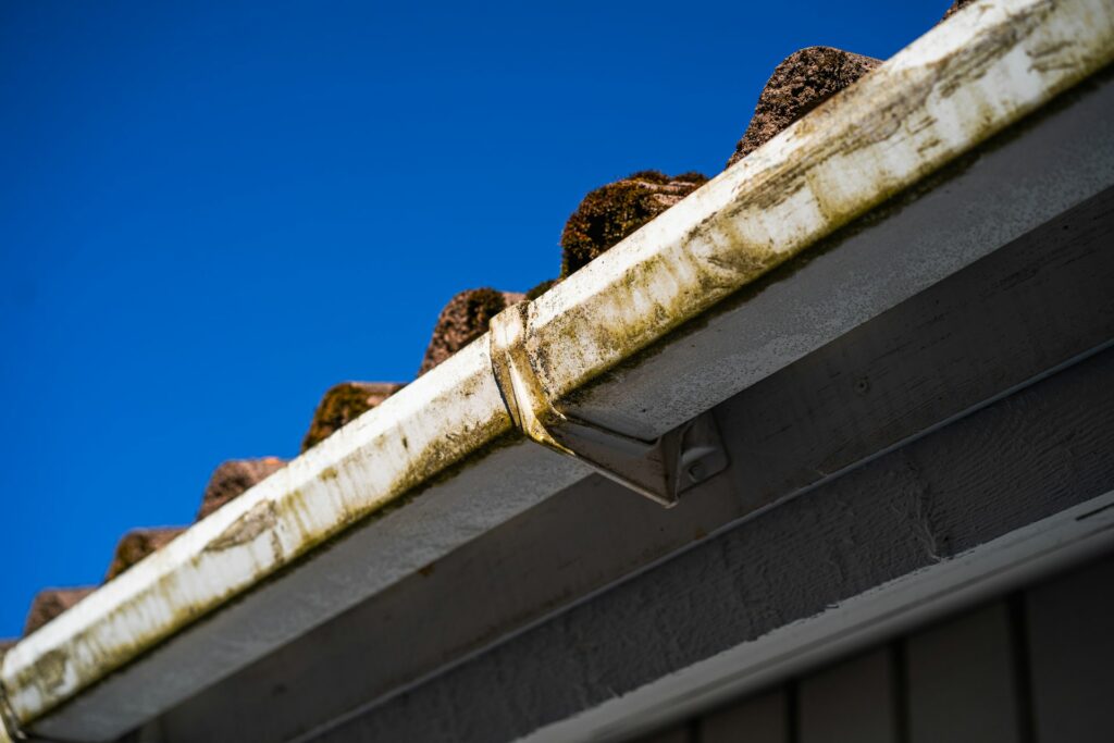 Metal Roof